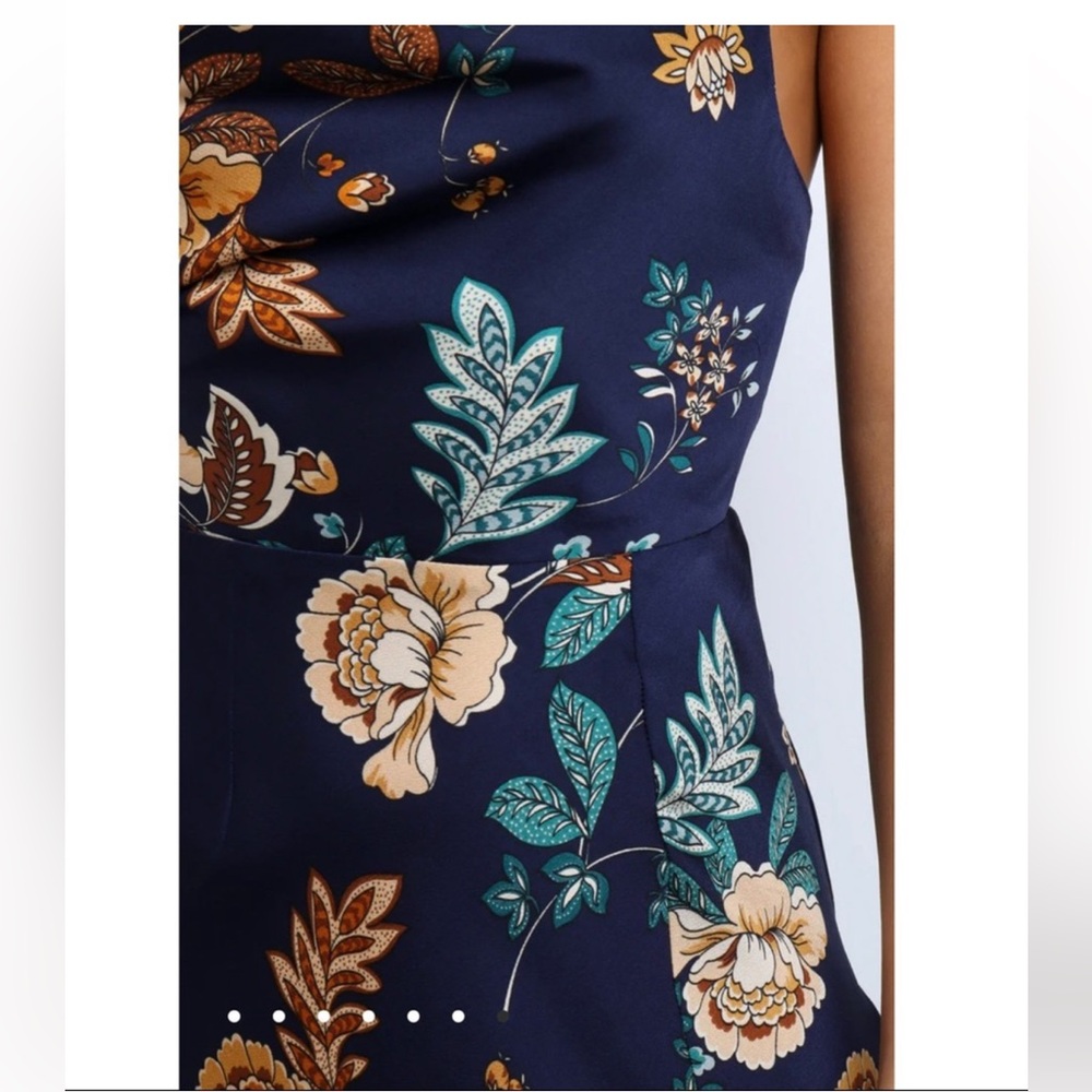 Petal & Pup Alejandra Midi Dress - Picture 4 of 9